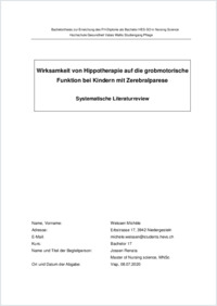 Bachelorarbeit . Michele  fertig.pdf